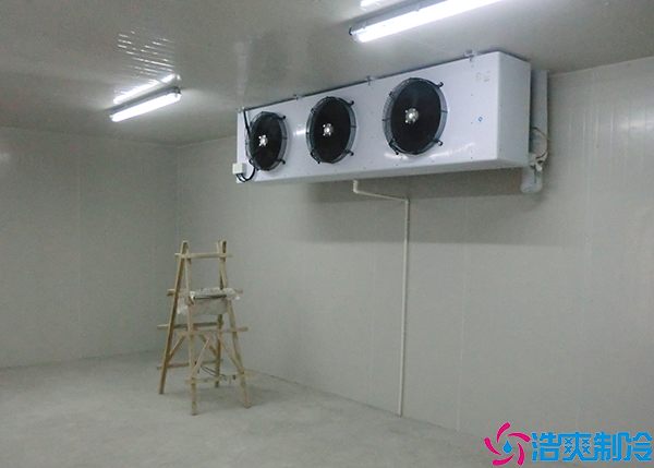  湘西GSP医药冷库设计方案