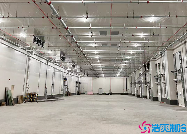  怀化医药冷冻库建设项目的要点
