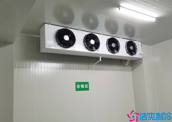 医药冷冻库