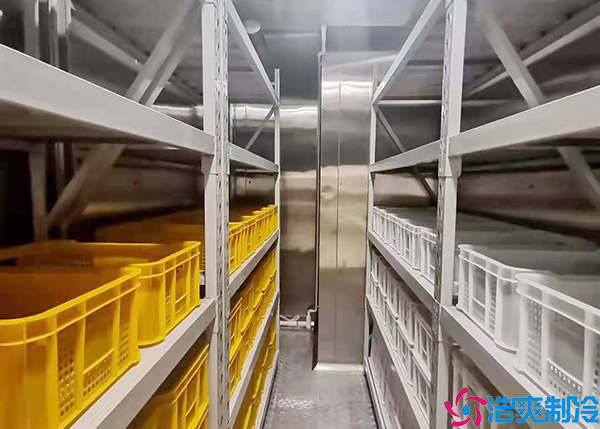小型医药冷库