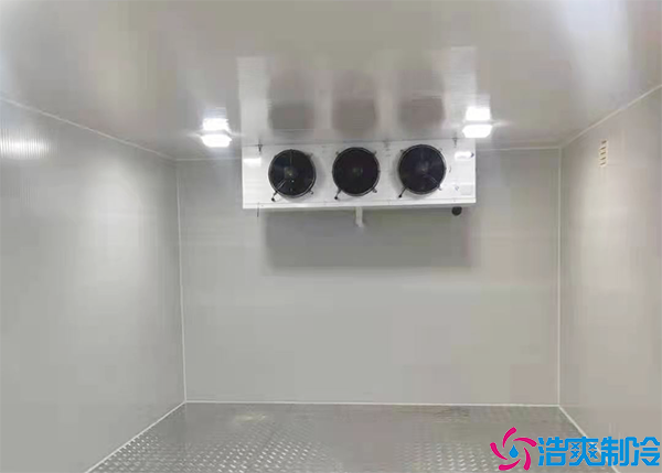 小型医药冷库