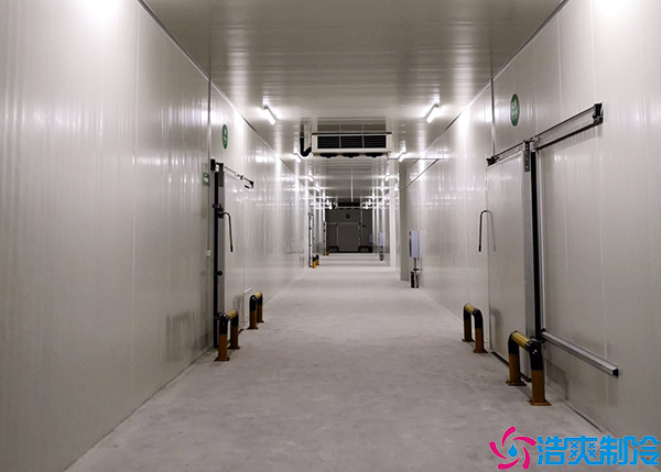  邵阳大型医药冷库施工项目有哪些？