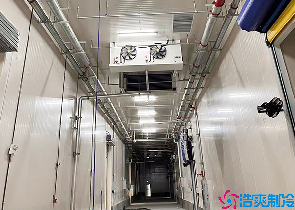  张家界药品冷藏库批发市场价格查询