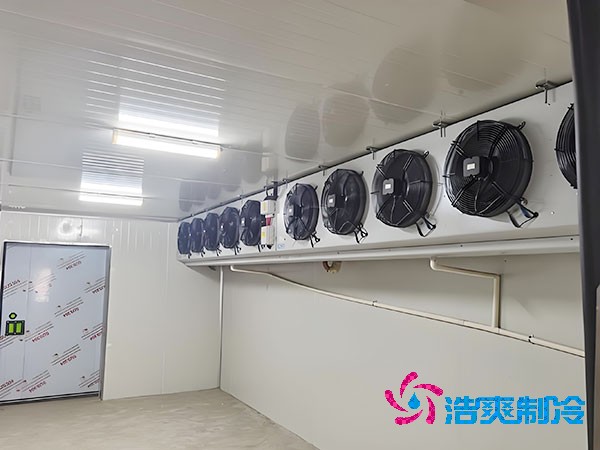 医药冷库建造预算