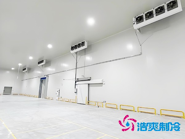  建设大型医药疫苗冷库的设计规范与要求