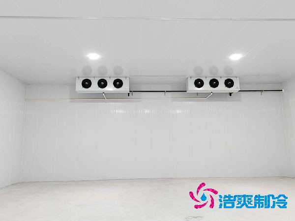  医药冷库建造规模及配置标准是什么？