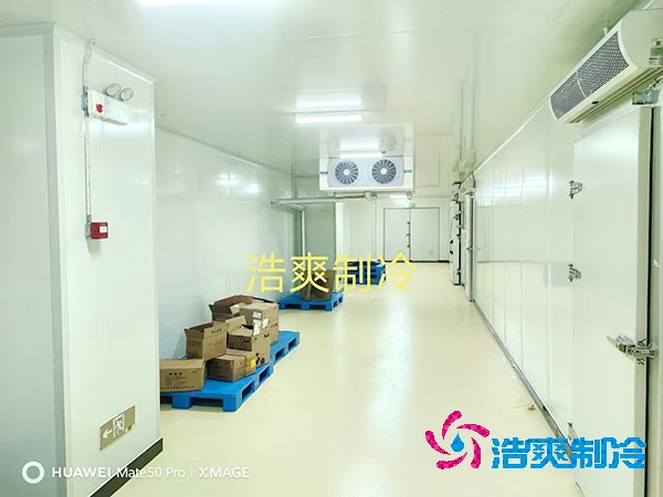  2025年小型医药冷库建造价格多少钱？
