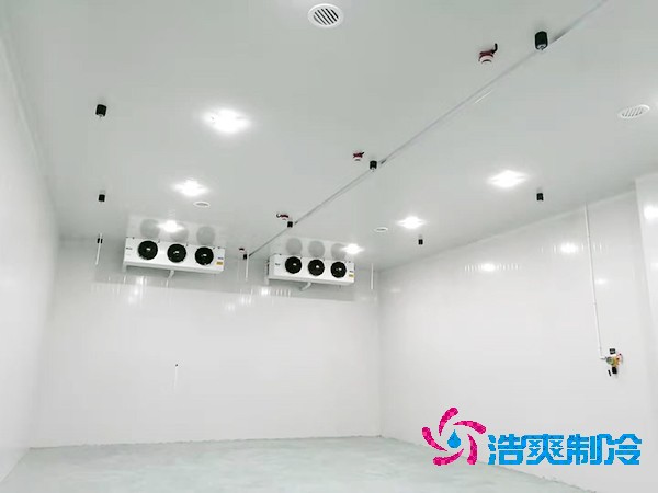  医药冷库全方位设计安装解析