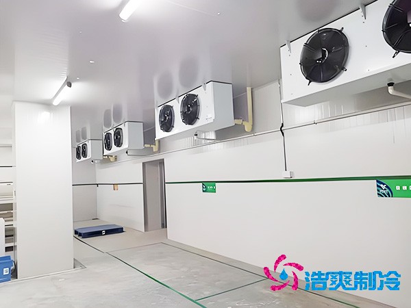 医药冷库全方位设计安装解析