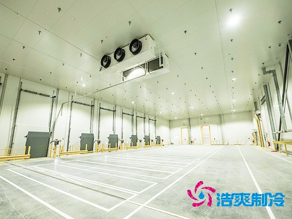  2025年全国医药冷库造价解析与投资指南！