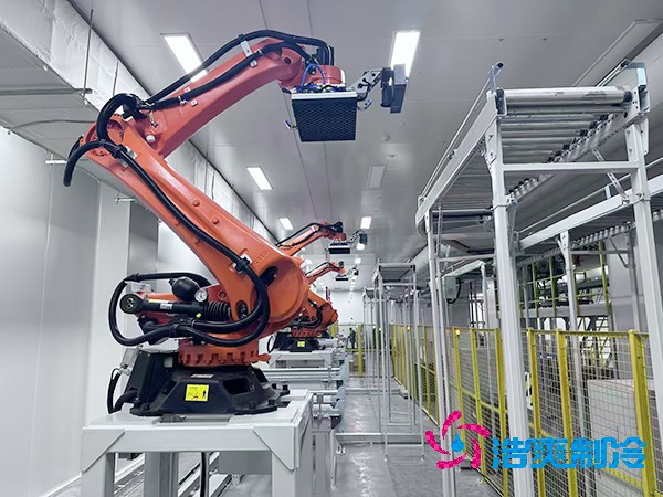 自动化医药冷库安装_GSP/GMP自动化冷库建造_FDA药品自动化冷库厂家